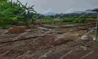Rumah Kolam ikan & kebun