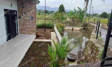 Rumah Kolam ikan & kebun