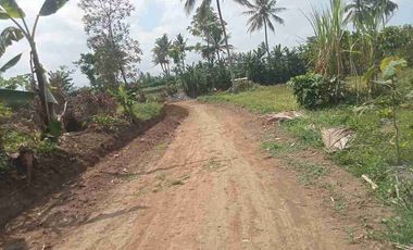 tanah dijual di Sukoanyar Pakis Kab Malang