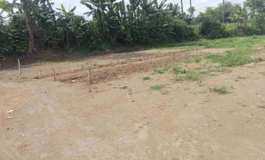 tanah dijual di Sukoanyar Pakis Kab Malang