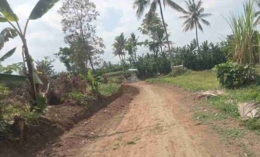 tanah dijual di Sukoanyar Pakis Kab Malang