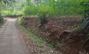 5450 M2 Tanah Kebun Pinggir Jalan, Sumur Bandung Cipatat, Bandung Barat.