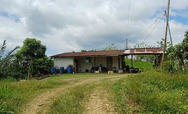 SE VENDE FINCA GANADERA EN PRODUCCIÓN, 52 HAS. LA CELICA – PEDRO VICENTE MALDONADO - PICHINCHA - ECUADOR