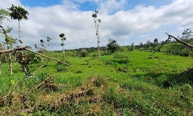 SE VENDE FINCA GANADERA EN PRODUCCIÓN, 52 HAS. LA CELICA – PEDRO VICENTE MALDONADO - PICHINCHA - ECUADOR