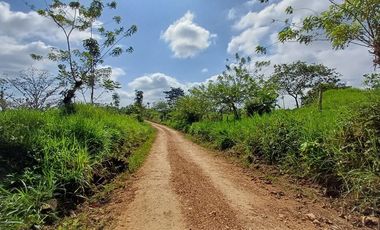 SE VENDE FINCA GANADERA EN PRODUCCIÓN, 52 HAS. LA CELICA – PEDRO VICENTE MALDONADO - PICHINCHA - ECUADOR