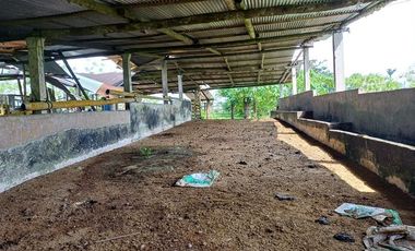 SE VENDE FINCA GANADERA EN PRODUCCIÓN, 52 HAS. LA CELICA – PEDRO VICENTE MALDONADO - PICHINCHA - ECUADOR