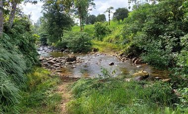 SE VENDE FINCA GANADERA EN PRODUCCIÓN, 52 HAS. LA CELICA – PEDRO VICENTE MALDONADO - PICHINCHA - ECUADOR