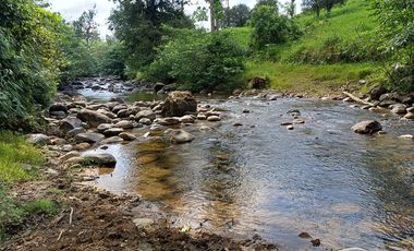 SE VENDE FINCA GANADERA EN PRODUCCIÓN, 52 HAS. LA CELICA – PEDRO VICENTE MALDONADO - PICHINCHA - ECUADOR