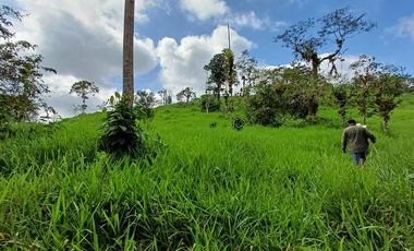 SE VENDE FINCA GANADERA EN PRODUCCIÓN, 52 HAS. LA CELICA – PEDRO VICENTE MALDONADO - PICHINCHA - ECUADOR