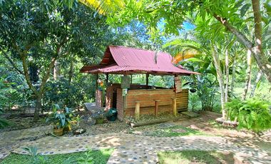 Hotel Ecolodge en Venta, 15 minutos del Parque Tayrona, Santa Marta