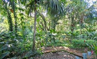 Hotel Ecolodge en Venta, 15 minutos del Parque Tayrona, Santa Marta