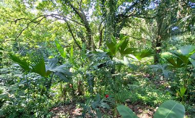 Hotel Ecolodge en Venta, 15 minutos del Parque Tayrona, Santa Marta