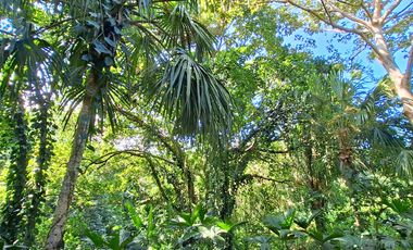 Hotel Ecolodge en Venta, 15 minutos del Parque Tayrona, Santa Marta
