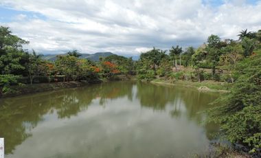 VENDO CASA EN ANAPOIMA