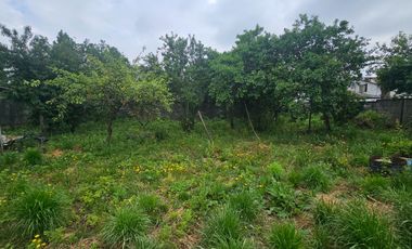 CASA CENTRAL CON AMPLIO SITIO EN PAILLACO