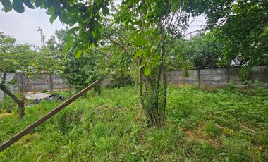 CASA CENTRAL CON AMPLIO SITIO EN PAILLACO