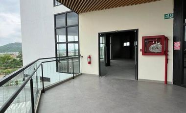 ALQUILER DE GRAN LOCAL COMERCIAL EN PLAZA SEVILLA (LA JOYA)