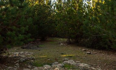 VENDO PARCELA DE 5.000 M², COMUNA DE CHÉPICA