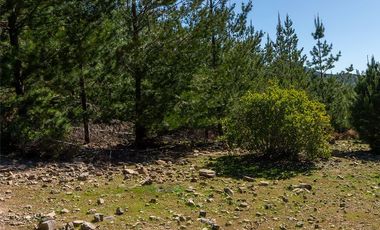 VENDO PARCELA DE 5.000 M², COMUNA DE CHÉPICA