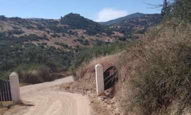 VENDO PARCELA DE 5.000 M², COMUNA DE CHÉPICA