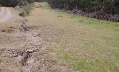 VENDO PARCELA DE 5.000 M², COMUNA DE CHÉPICA