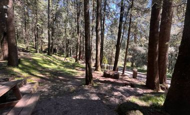 Venta de precioso conjunto de Chalets en Villa Alpina, incluye árbol de navidad¡