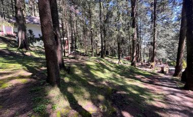 Venta de precioso conjunto de Chalets en Villa Alpina, incluye árbol de navidad¡