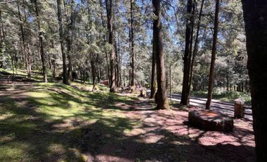 Venta de precioso conjunto de Chalets en Villa Alpina, incluye árbol de navidad¡