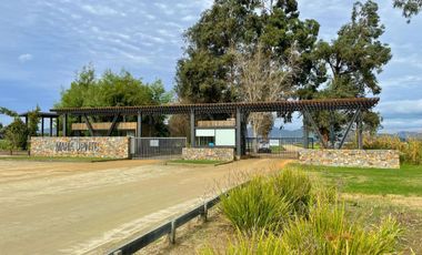 Últimas parcelas planas de 5.000 m² en María Pinto: red de luz y agua operativas, portería, rol propio, administración activa y últimas unidades.