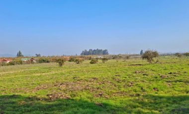 Últimas parcelas planas de 5.000 m² en María Pinto: red de luz y agua operativas, portería, rol propio, administración activa y últimas unidades.