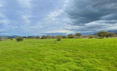 Últimas parcelas planas de 5.000 m² en María Pinto: red de luz y agua operativas, portería, rol propio, administración activa y últimas unidades.