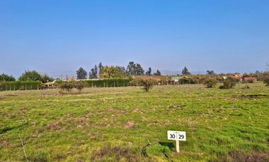 Últimas parcelas planas de 5.000 m² en María Pinto: red de luz y agua operativas, portería, rol propio, administración activa y últimas unidades.