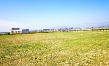 Últimas parcelas planas de 5.000 m² en María Pinto: red de luz y agua operativas, portería, rol propio, administración activa y últimas unidades.