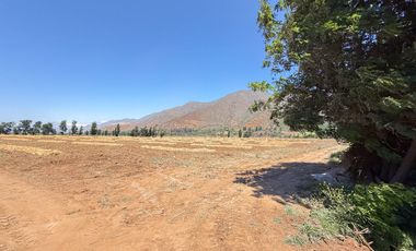 Fundo Agrícola Con Agua Y Bodegas En Venta Catemu