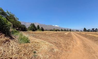 Fundo Agrícola Con Agua Y Bodegas En Venta Catemu