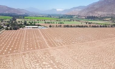 Fundo Agrícola Con Agua Y Bodegas En Venta Catemu