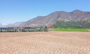 Fundo Agrícola Con Agua Y Bodegas En Venta Catemu