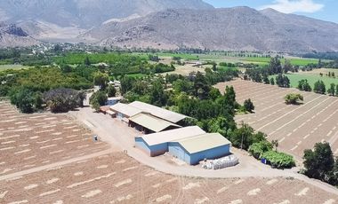 Fundo Agrícola Con Agua Y Bodegas En Venta Catemu