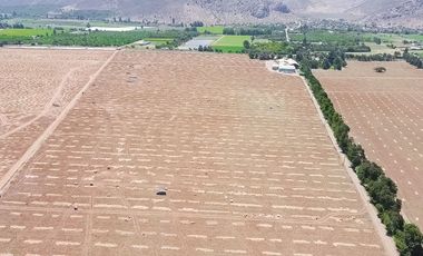 Fundo Agrícola Con Agua Y Bodegas En Venta Catemu