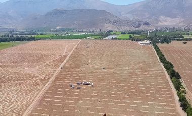 Fundo Agrícola Con Agua Y Bodegas En Venta Catemu
