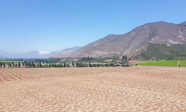 Fundo Agrícola Con Agua Y Bodegas En Venta Catemu