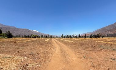 Fundo Agrícola Con Agua Y Bodegas En Venta Catemu