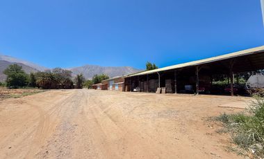 Fundo Agrícola Con Agua Y Bodegas En Venta Catemu