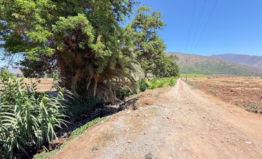 Fundo Agrícola Con Agua Y Bodegas En Venta Catemu
