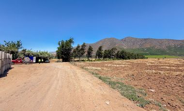 Fundo Agrícola Con Agua Y Bodegas En Venta Catemu