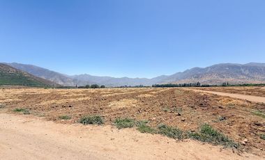 Fundo Agrícola Con Agua Y Bodegas En Venta Catemu