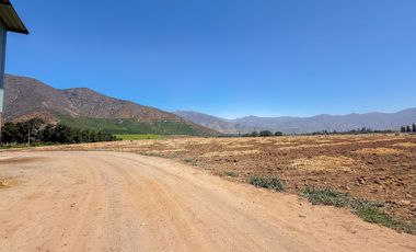 Fundo Agrícola Con Agua Y Bodegas En Venta Catemu
