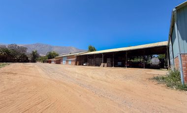 Fundo Agrícola Con Agua Y Bodegas En Venta Catemu