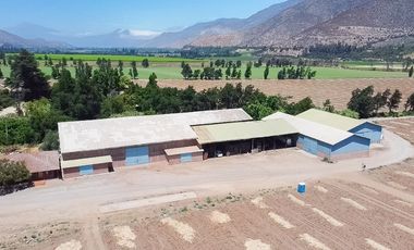 Fundo Agrícola Con Agua Y Bodegas En Venta Catemu