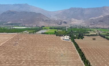Fundo Agrícola Con Agua Y Bodegas En Venta Catemu